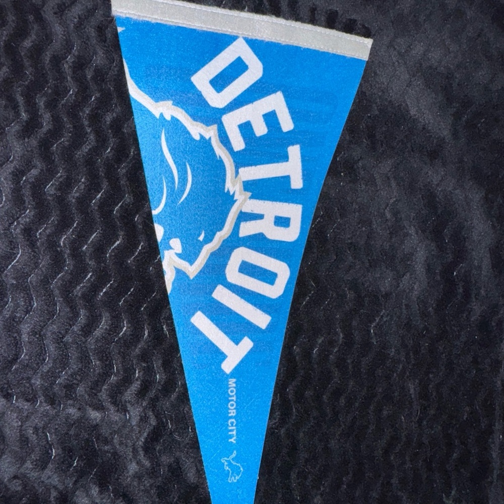 NFL Detroit Lions Blue and White Pennant